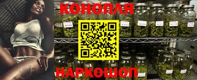 индика Усть-Илимск